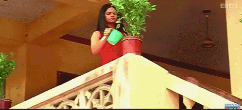 Indian Bolly Wood GIF - Indian Bolly Wood Watering GIFs
