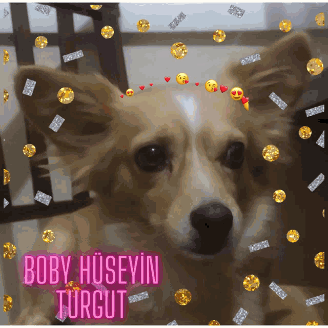 Boby Hüseyin Turgut GIF - Boby Hüseyin Turgut GIFs
