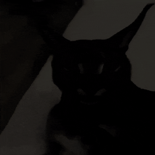 a black and white photo of a person sitting in a chair in a dark room .