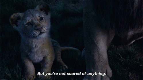 The Lion King Simba GIF - The Lion King Simba But Youre Not Scared Of Anything GIFs