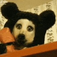 a dog is wearing a teddy bear costume and looking out of a box .