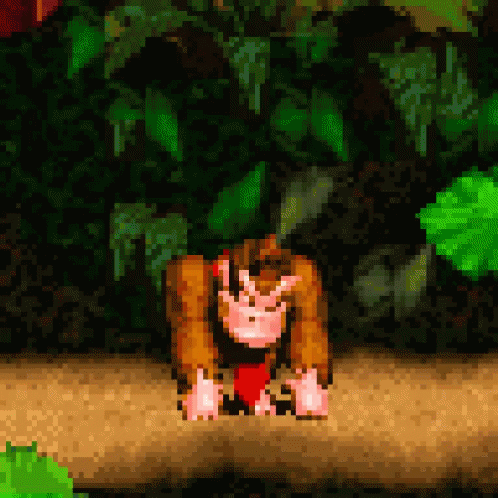 Donkey Kong Smh GIF