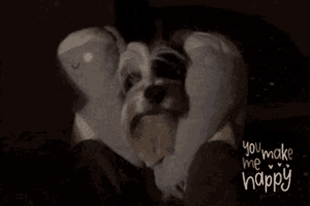 a dog is hugging a stuffed animal with the words " you make me happy " above it