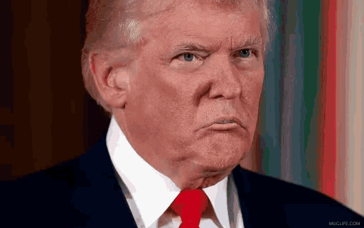 Donald Trump GIF