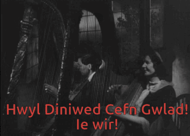 a group of people dancing with the words hwyl diniwed cefn gwlad le wir in red