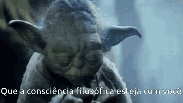 a close up of yoda with the words que a consciencia filosófica esteja com você written below him