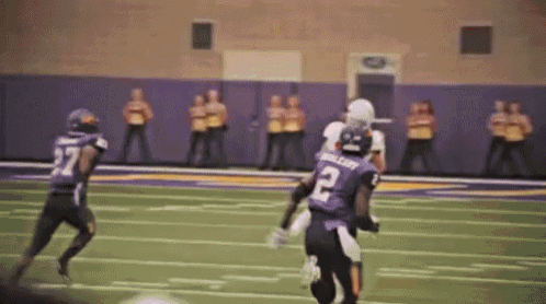 a football player wearing a purple jersey with the number 2 on it is running on a field .