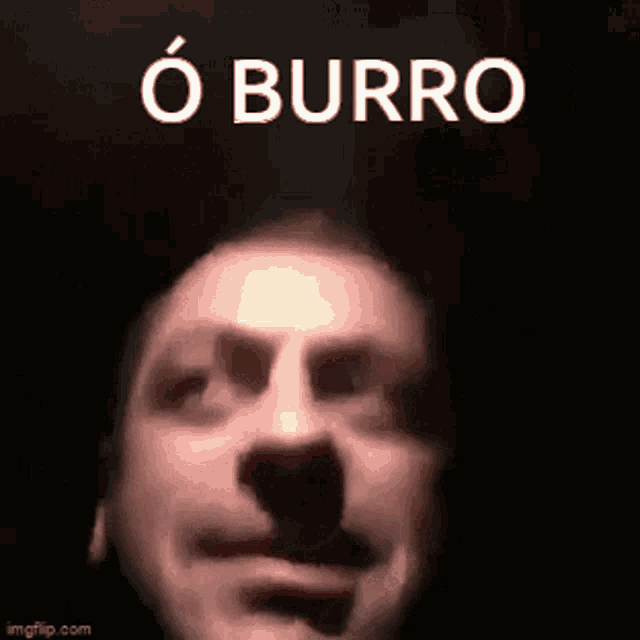 Burro Nelo Chapeiro GIF - Burro Nelo Chapeiro GIFs