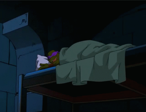 Sleep Donnie GIF - Sleep Donnie Donatello GIFs