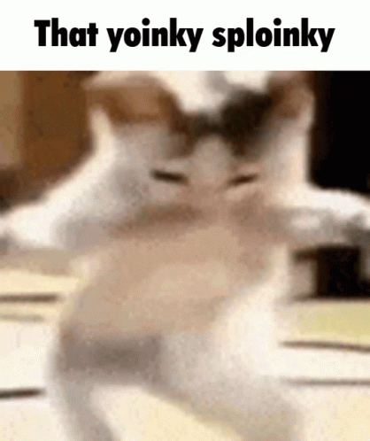 Shaking cat with caption "That yoinky sploinky" on top