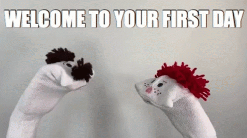 Your Happy Workplace Wendy Conrad GIF - Your Happy Workplace Wendy Conrad Sock Puppet Scenarios GIFs
