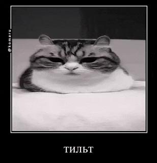 a black and white photo of a cat with a foreign language caption .
