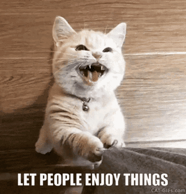 Let People Enjoy Things Cat GIF - Let People Enjoy Things Cat Begging GIFs