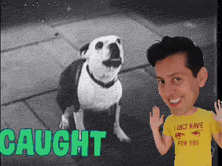 a man wearing a yellow shirt that says " i only have eyes for you " stands next to a dog