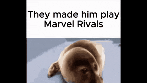 a picture of a dog with the words they made him play marvel rivals below it