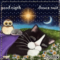 a picture of a cat and an owl that says good night in french