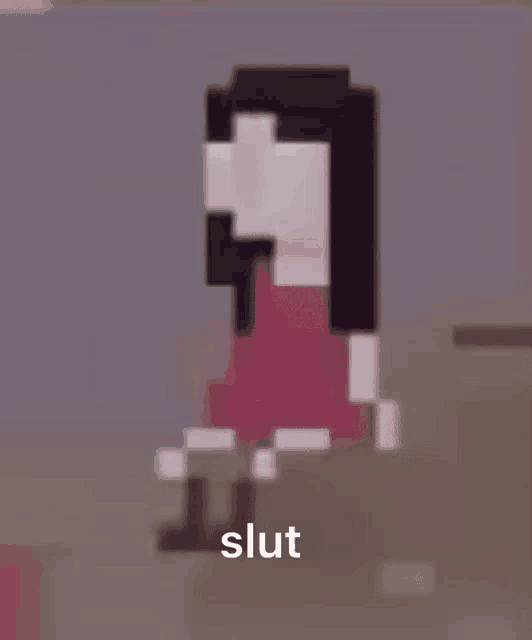a pixel art drawing of a woman with the word slut written on it .