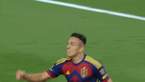 a soccer player in a blue and red jersey is standing on a soccer field .