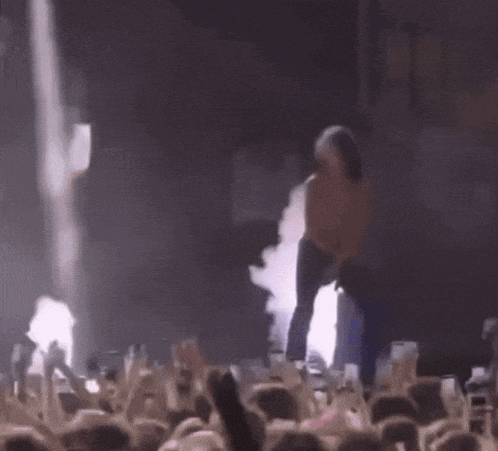 a woman is standing on a stage in front of a crowd of people holding their phones up