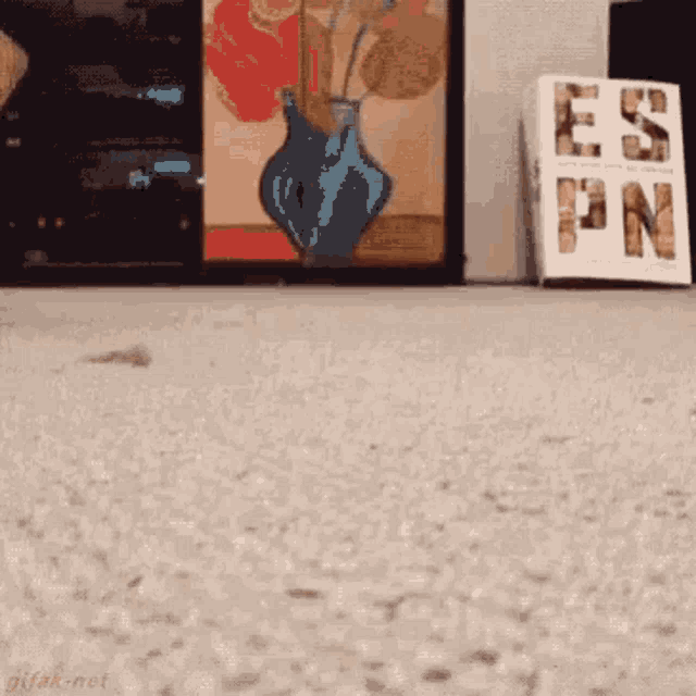 Cat Funny GIF - Cat Funny Playing GIFs