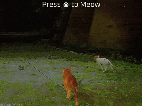 Stray Stray Game GIF - Stray Stray Game Cats GIFs