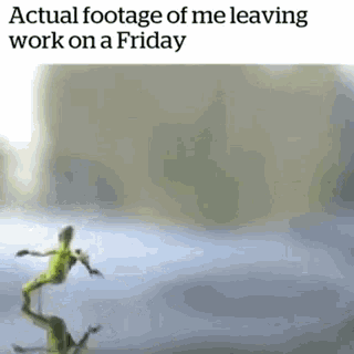a picture of a frog that says `` actual footage of me leaving work on a friday '' on it .