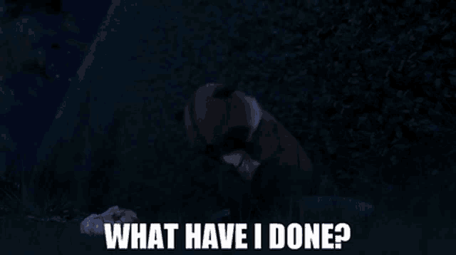 a picture of a bear with the words " what have i done " above it
