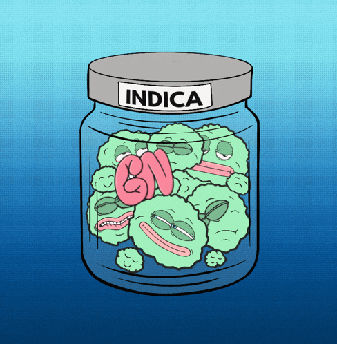 a cartoon drawing of a jar with indica written on the lid