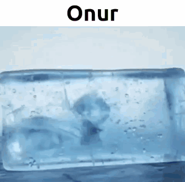 Onyxarcher Onurokcu GIF