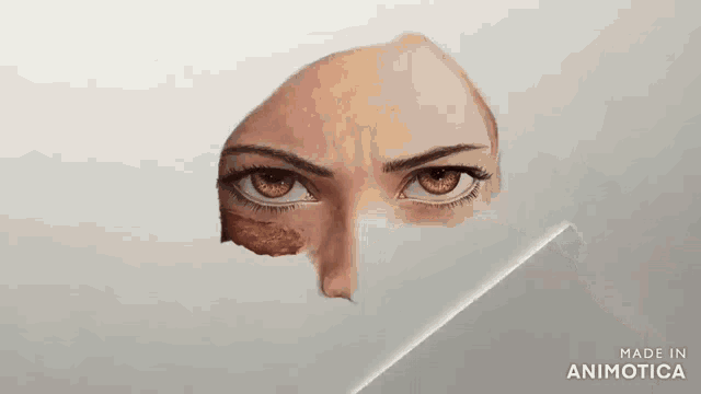 a person is drawing a woman 's face with a brush and the words made in animatica on the bottom