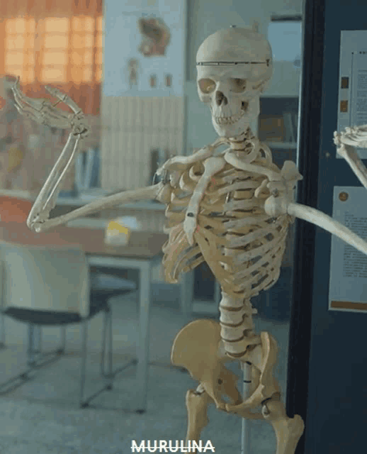 a skeleton is standing in front of a door and the word murulina is on the bottom right