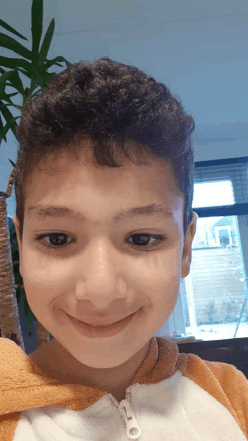 a young boy with curly hair is smiling for the camera with a plant in the background