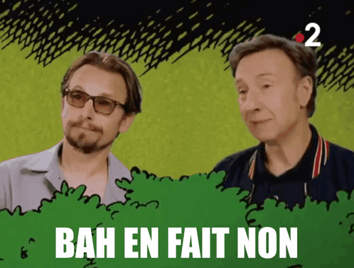 Stéphane Bern Non GIF - Stéphane Bern Stéphane Bern GIFs