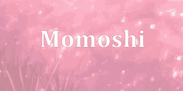 the word momoshi is on a pink background with flowers