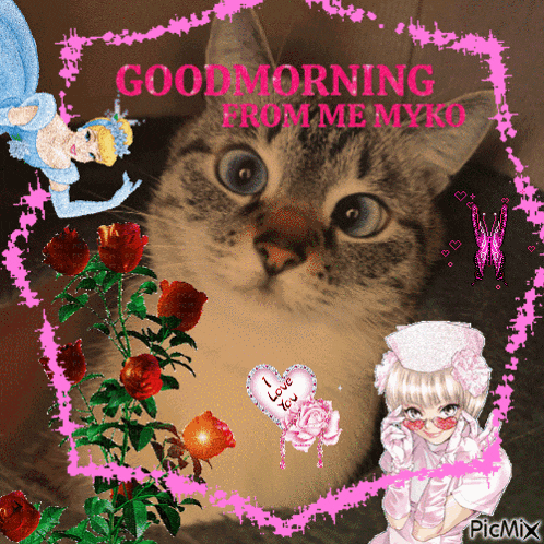a picture of a cat with the words good morning from me myko written on it