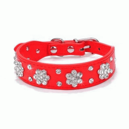 Best Leather Dog Collars Dog Collar Leather GIF - Best Leather Dog Collars Dog Collar Leather GIFs