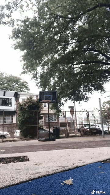 a basketball hoop is surrounded by a fence and trees and has a tiktok watermark