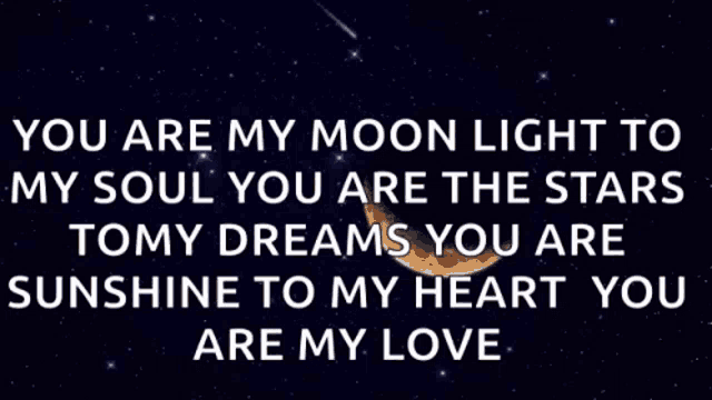 Soulmate You Are My Moonlight GIF