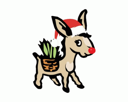 Christmas Donkey GIF - Christmas Donkey Burrito GIFs