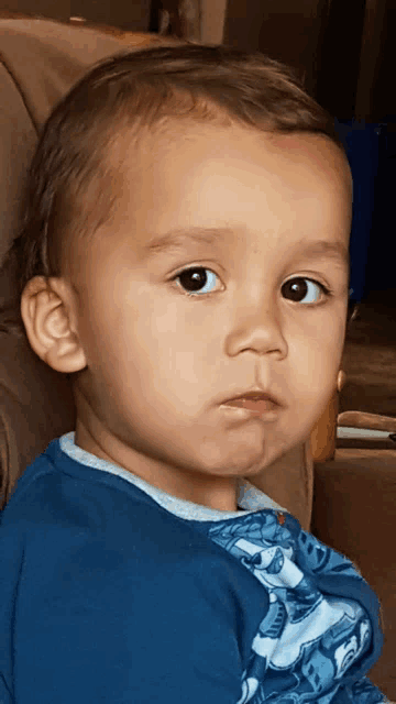 a young boy wearing a blue shirt with a shark on it looks at the camera