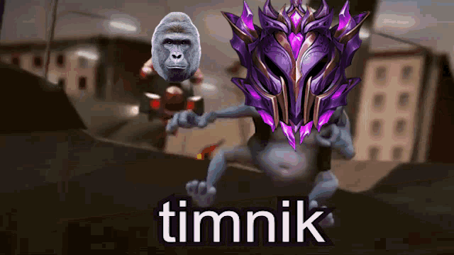 a gorilla and a monkey are standing next to each other with the word timnik in the corner