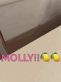 Molly GIF - Molly GIFs