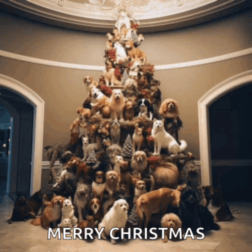 Merry Christmas Dogs GIF - Merry Christmas Dogs Christmas Tree GIFs