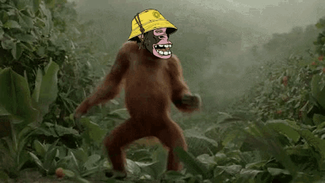 a monkey wearing a yellow hat is walking through a jungle