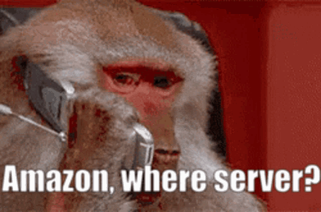 Amazon Server GIF - Amazon Server GIFs