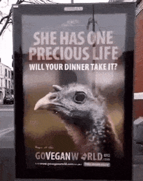 a billboard with a picture of a turkey says she has one precious life will your dinner take it