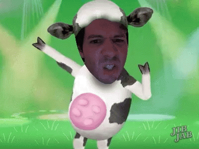 Dancing Cow GIF - Dancing Cow Jonny GIFs