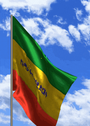 a green yellow and red flag with the words ethiopia on it