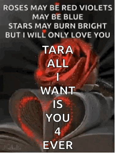 roses may be red violets may be blue stars may burn bright but i will only love you tara all i want is you for ever
