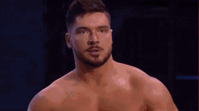 a shirtless man with a beard is looking at the camera .